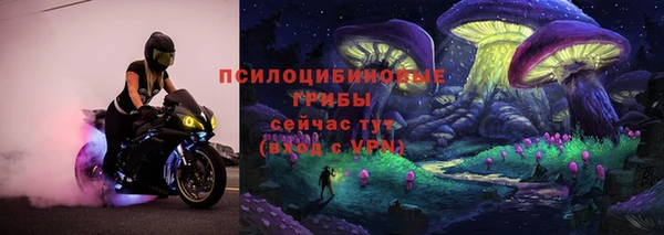 прущая мука Вязьма