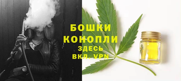 apvp Вяземский