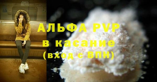 apvp Вяземский