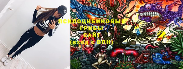 apvp Вяземский