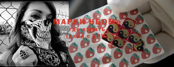 apvp Вяземский