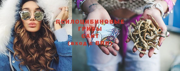 apvp Вяземский