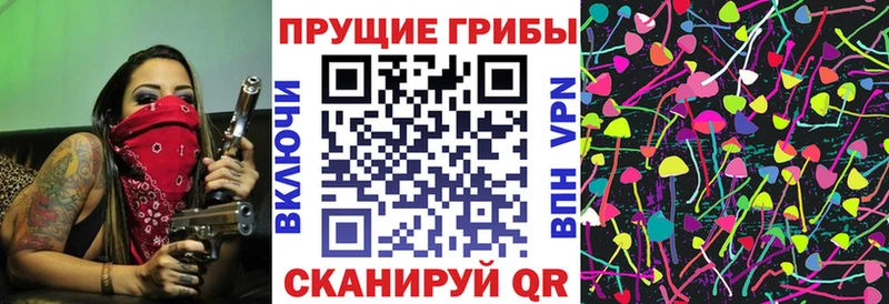 Купить  Кохма  Псилоцибиновые грибы Magic Shrooms 